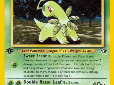 Bayleef (29 111) [Neo Genesis 1st Edition] Cheap