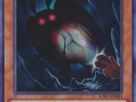 Danger! Mothman! [SOFU-EN084] Super Rare Online Hot Sale