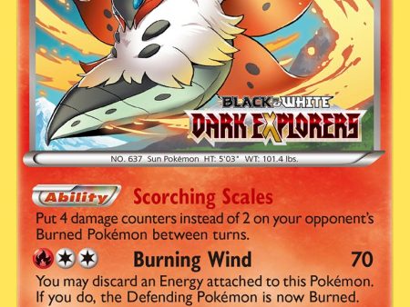 Volcarona (Staff Prerelease) (BW40) [Black & White: Black Star Promos] Online Hot Sale