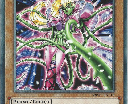 Prickle Fairy [OP07-EN014] Common For Cheap