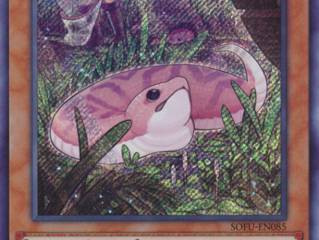 Danger!? Tsuchinoko? [SOFU-EN085] Secret Rare Discount